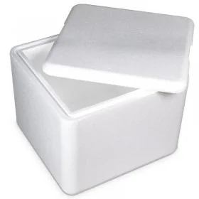 Cutii Termoizolante EPS Pentru Transport Dimensiune Interioara 500 x 300 x 340 mm, Grosime Perete 50 mm, Volum Litri 51, Mate...